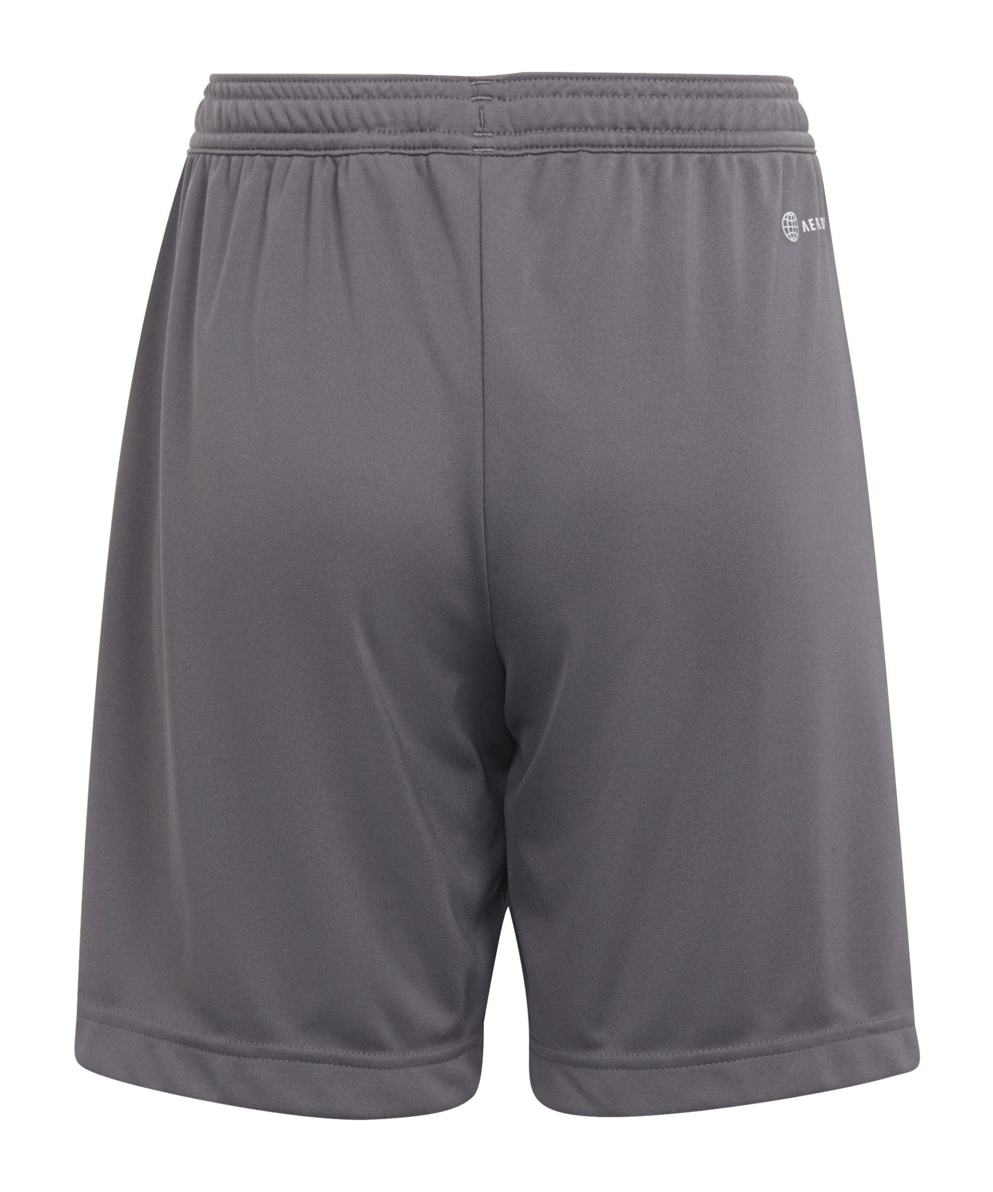 Adidas Performance Entrada 22 Training Shorts - Kids Soccer