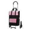 Andersen Scala Shoppaer Stair Climber with Milla 54L Bag