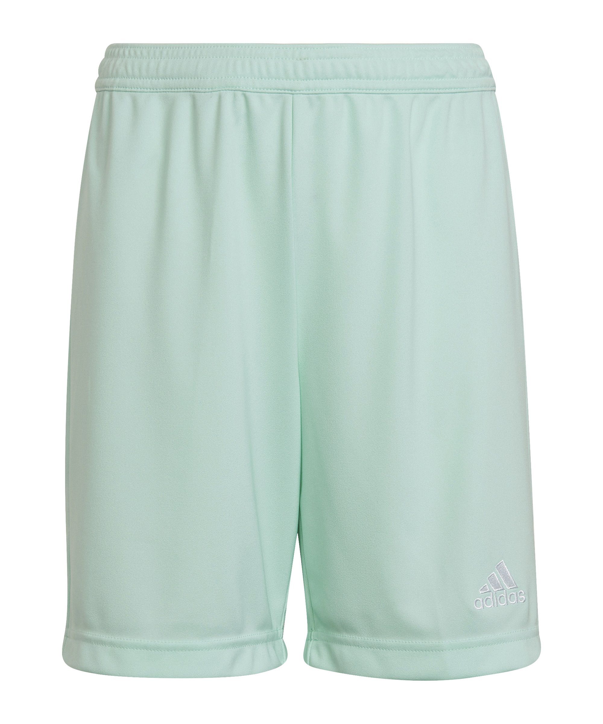 Adidas Performance Entrada 22 Training Shorts - Kids Soccer