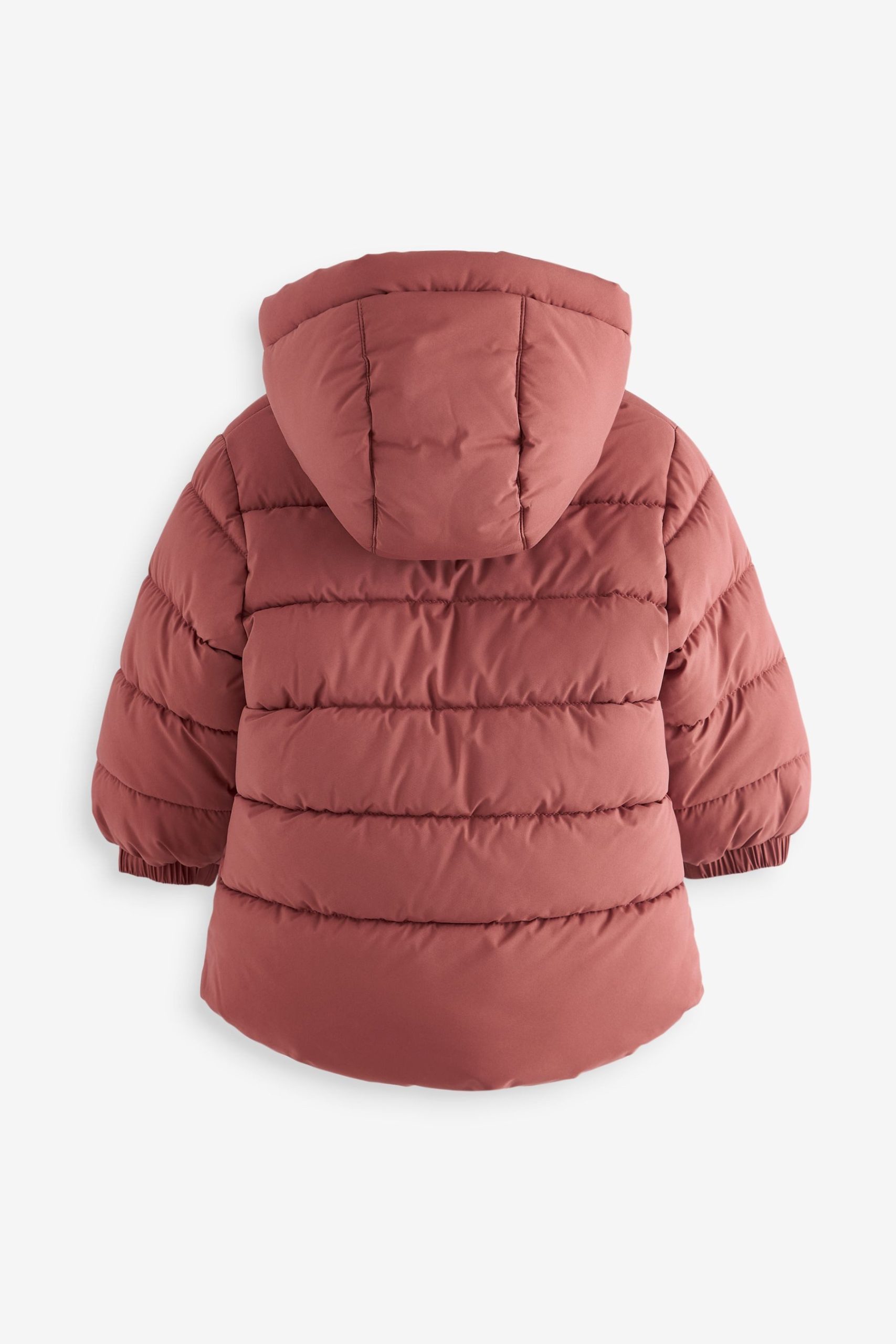 Next Water-Resistant Hooded Padded Coat | Stylish Winter Protection