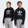 adidas Originals Cropped Hoodie - Junior Girls | Iconic Trefoil Style