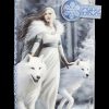 Anne Stokes Wolf Guardians Wallet - Enchanted Winter Fantasy Purse