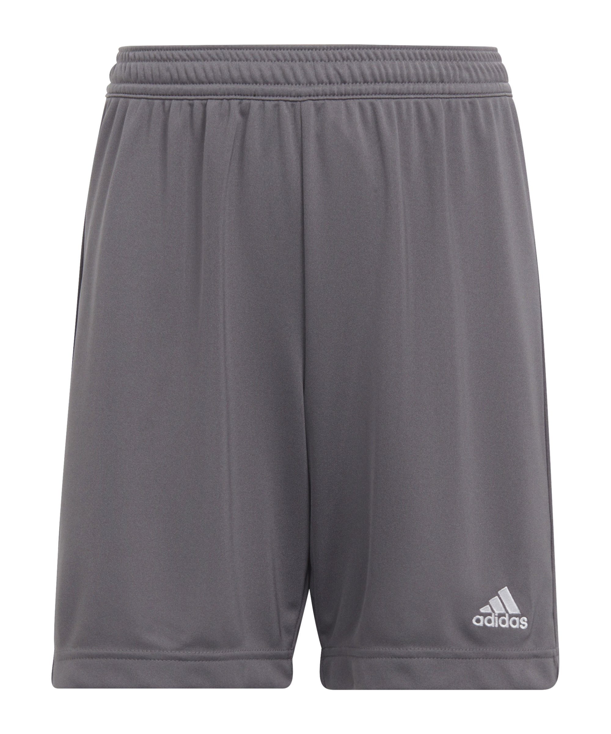 Adidas Performance Entrada 22 Training Shorts - Kids Soccer