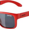 Alpina Kids Mitzo Sunglasses - Junior Eye Protection