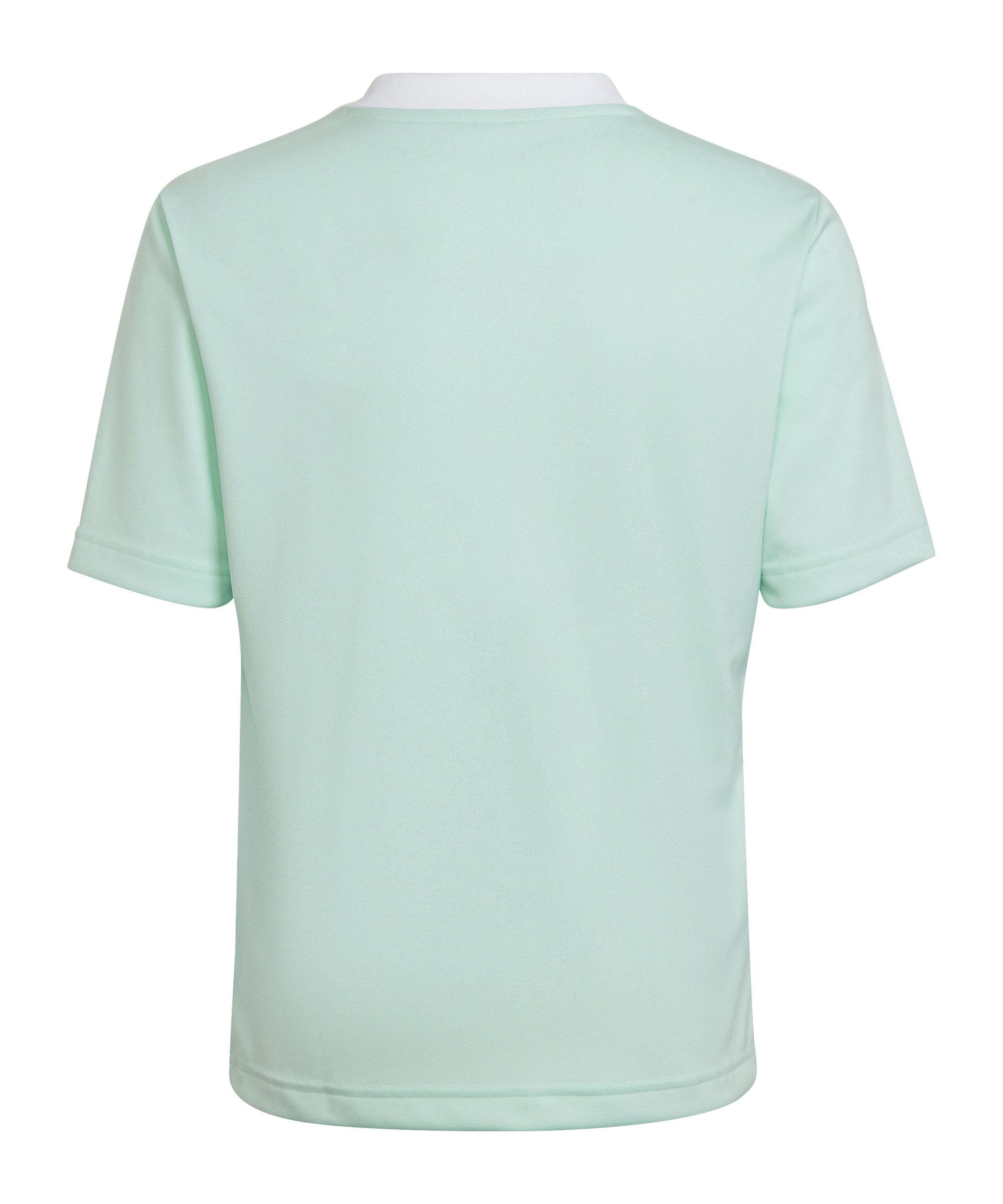 Adidas Performance Entrada 22 Kids Football T-Shirt - Team Sport