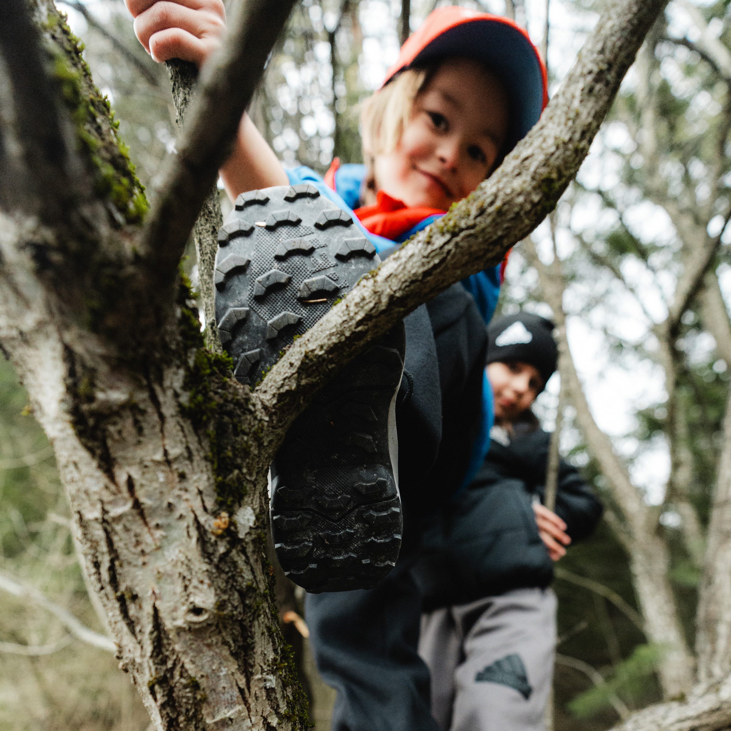 Adidas TERREX AX4R Kids Hiking Shoes - Conquer Any Trail Adidas TERREX AX4R Kids Hiking Shoes - Conquer Any Trail