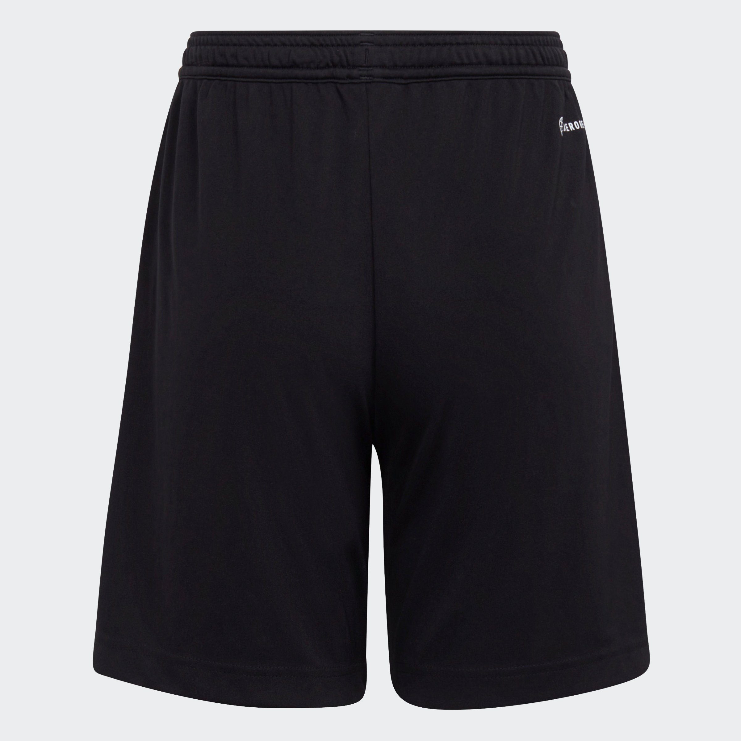 Adidas Performance Entrada 22 Training Shorts - Kids Soccer