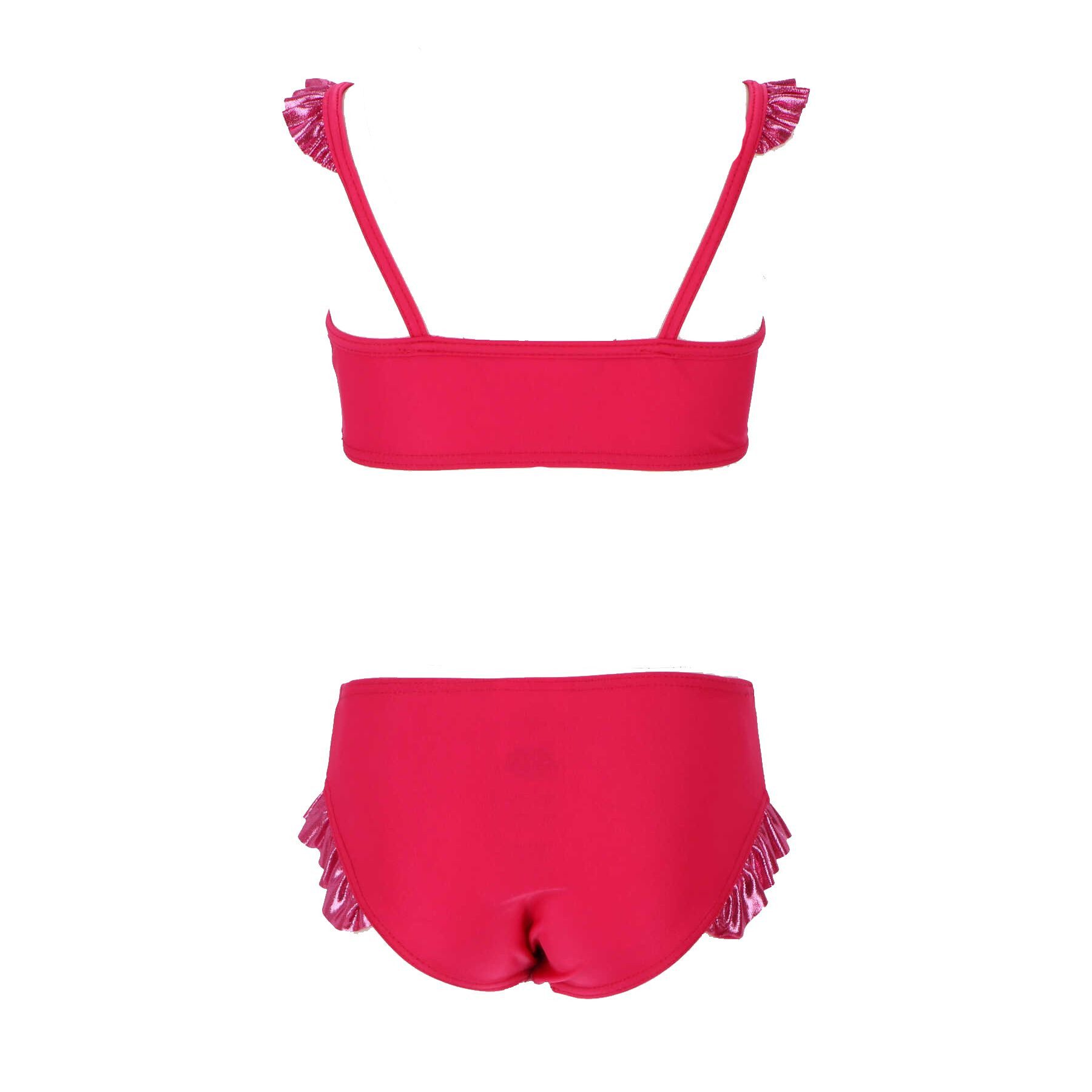 Paw Patrol Girls' Swimsuit - Skye, Chase & Friends - One-Piece Swimsuit