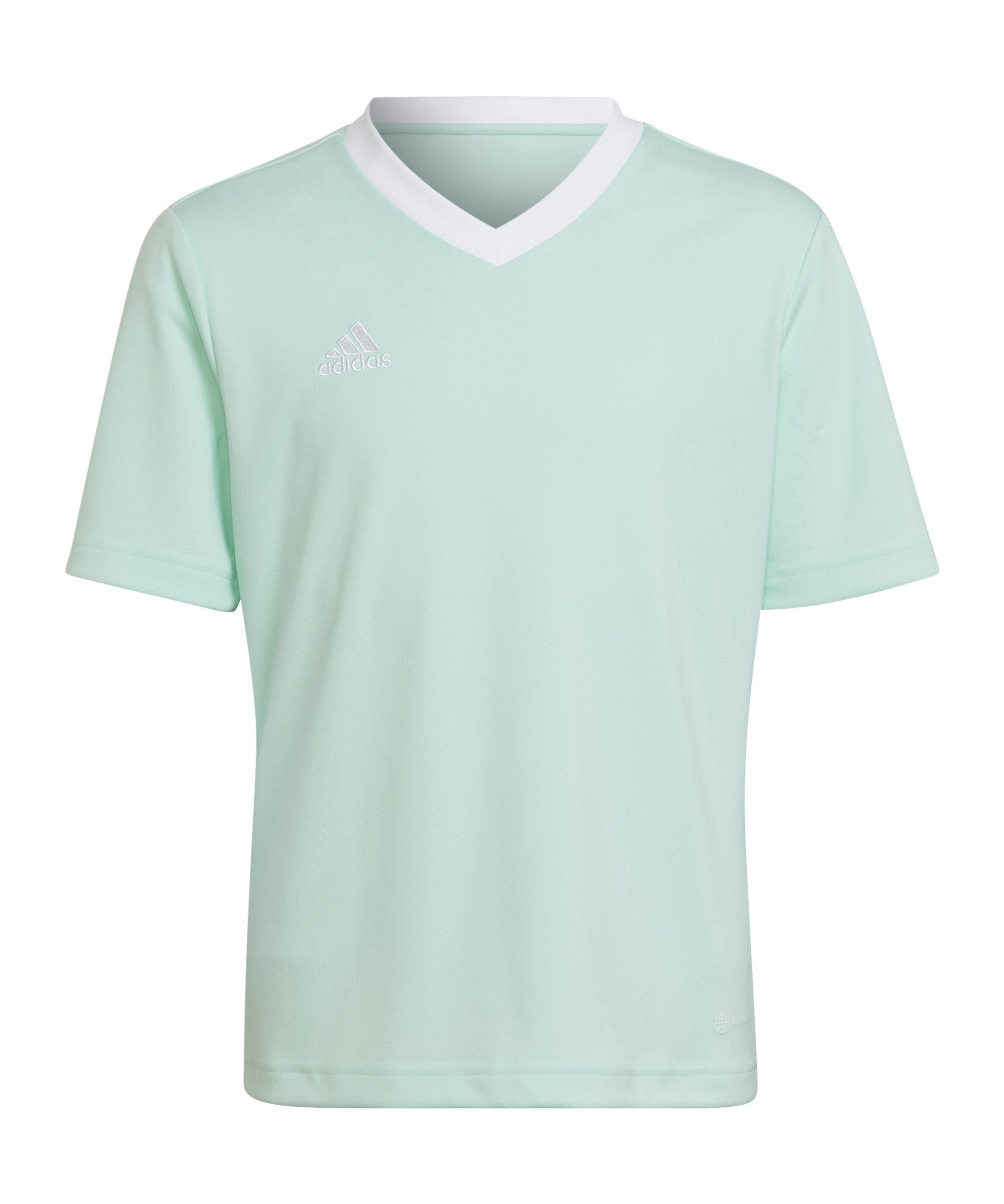 Adidas Performance Entrada 22 Kids Football T-Shirt - Team Sport